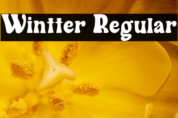 Wintter Regular Example 3