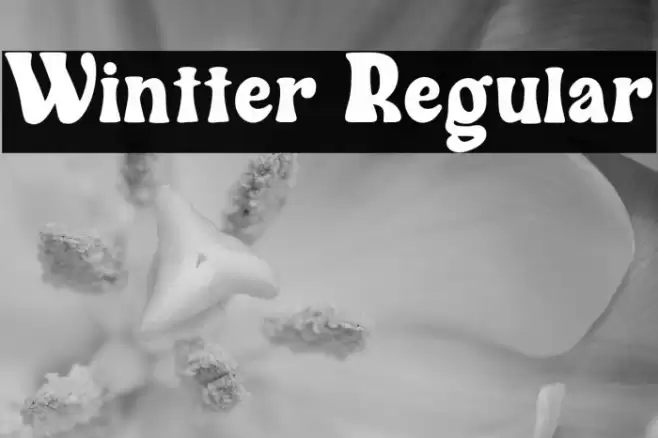 Wintter Regular Font examples