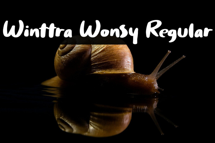 Winttra Wonsy Regular Example 1