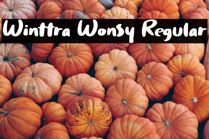 Winttra Wonsy Regular Example 2