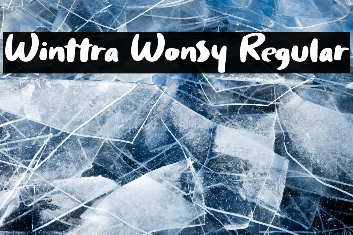 Winttra Wonsy Regular Example 3