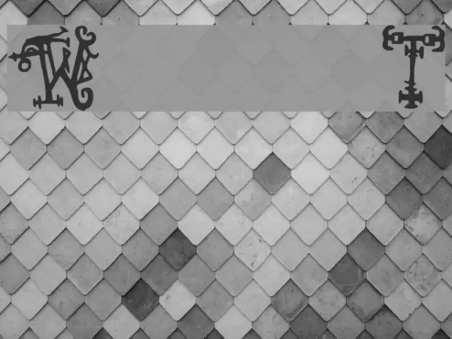 Wiqued T Font examples