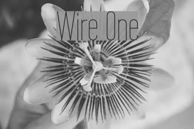 Wire One Font examples