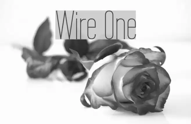 Wire One Font examples