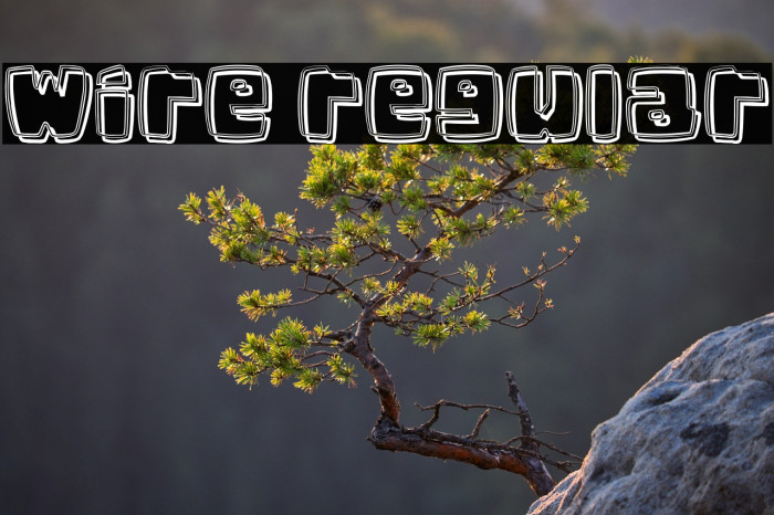 Wire Regular Example 1