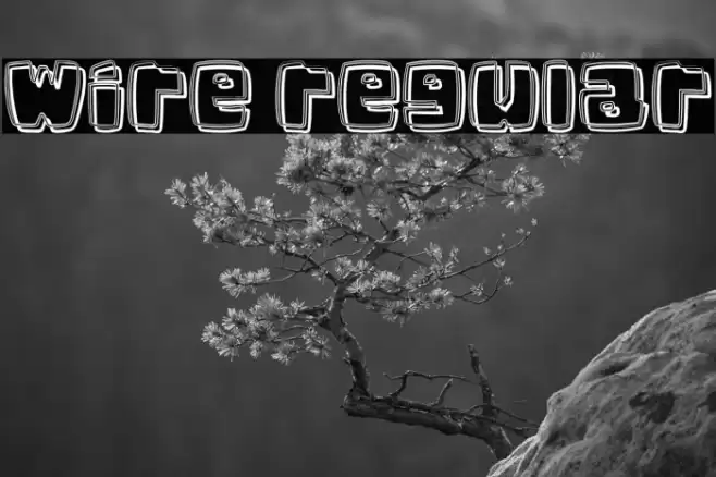 Wire Regular Font examples