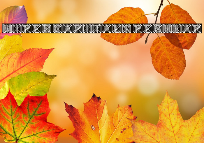 Wired Capitals Regular Example 3