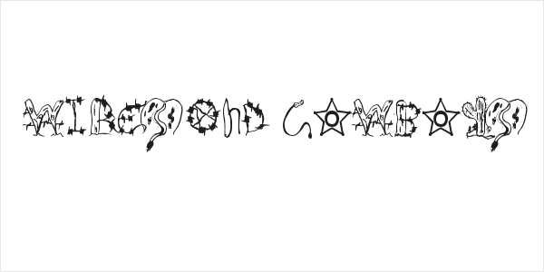 Wires and Cowboys Logo