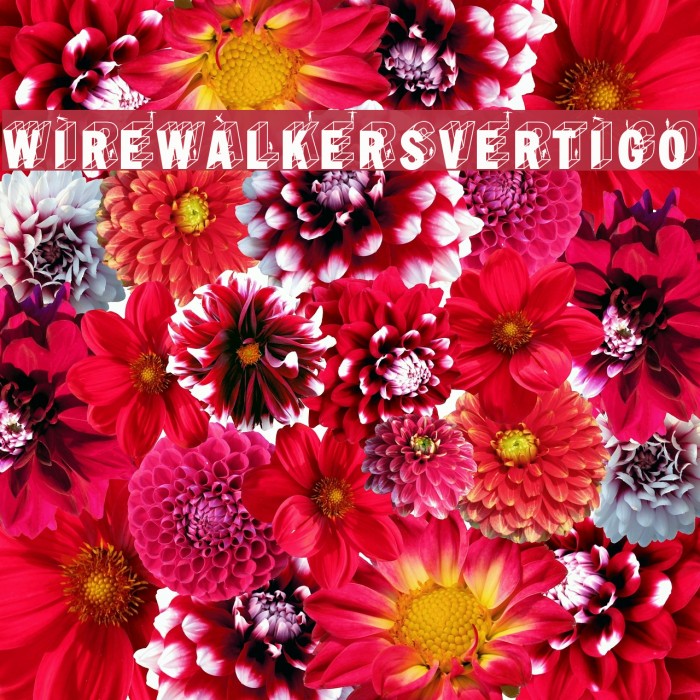 WirewalkersVertigo Font examples