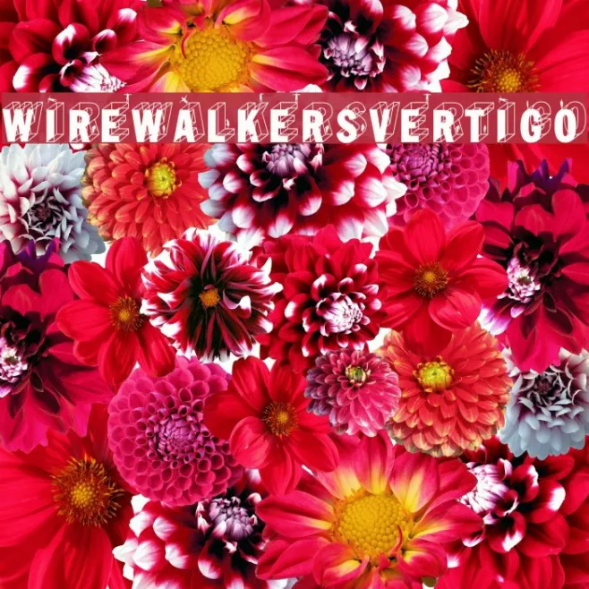 WirewalkersVertigo Example 2