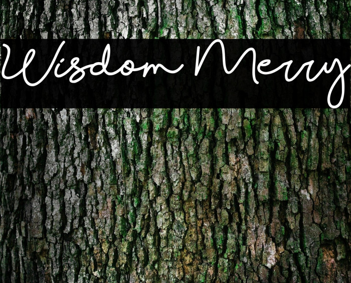 Wisdom Merry Font examples