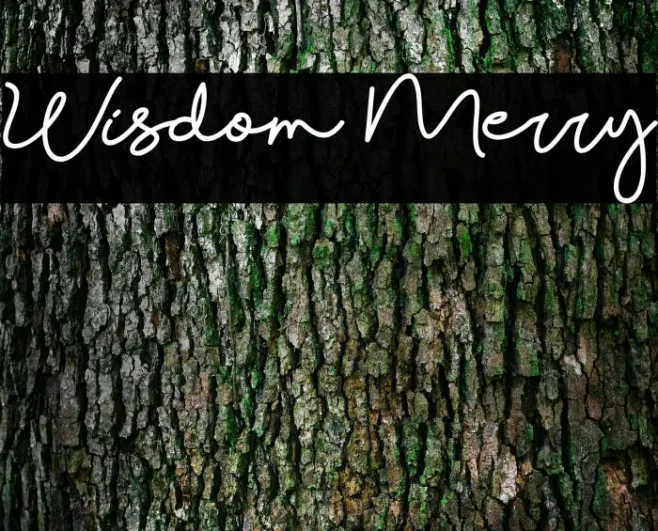 Wisdom Merry Example 1
