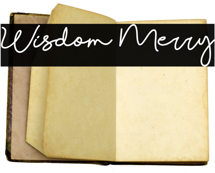 Wisdom Merry Font examples