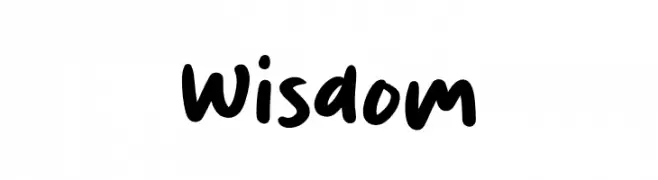 Wisdom  baixar fontes gratis