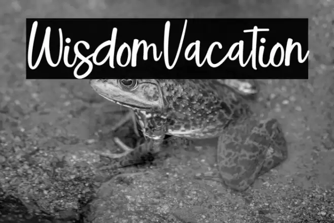 WisdomVacation خط examples