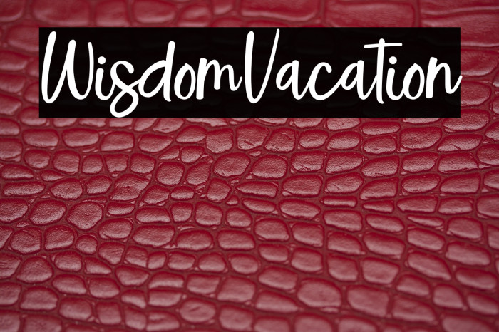 WisdomVacation Example 3