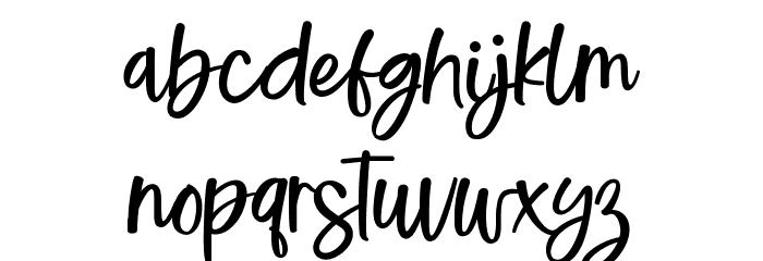 WisdomVacation Polices MINUSCULES