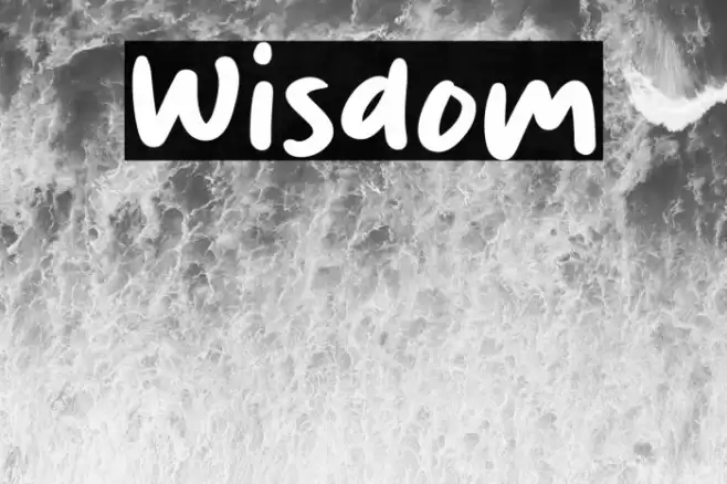 Wisdom Font examples
