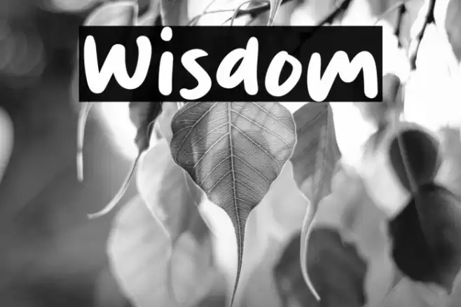 Wisdom Font examples