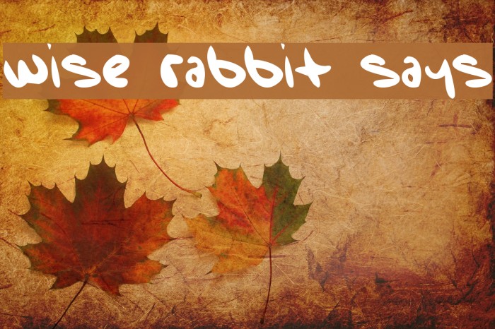Wise Rabbit Says Font examples