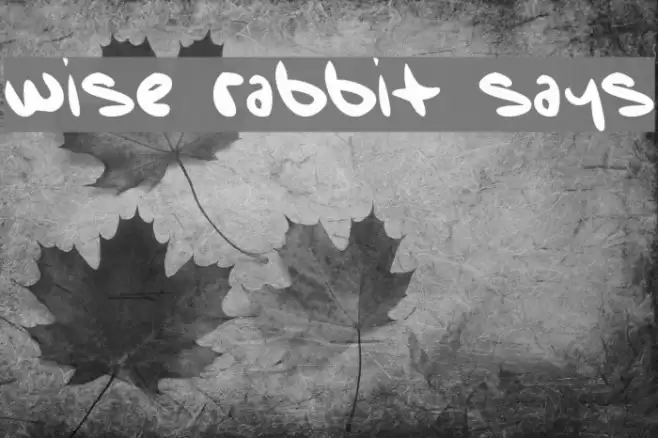 Wise Rabbit Says Font examples