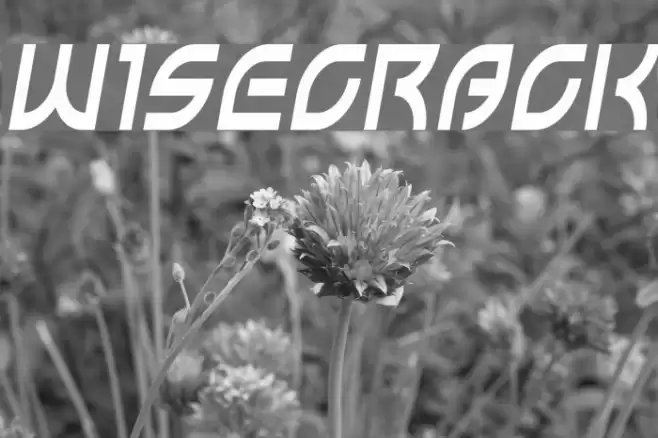 Wisecrack Font examples