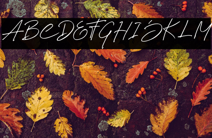 Wish Good Orin Example 2