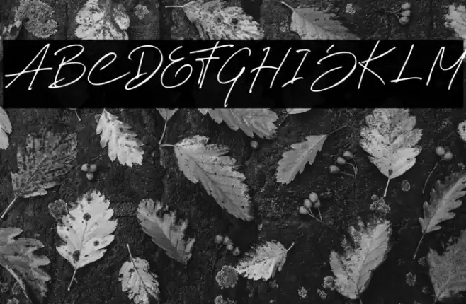 Wish Good Orin Font examples