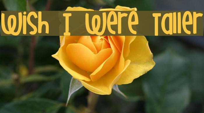Wish I Were Taller Font examples