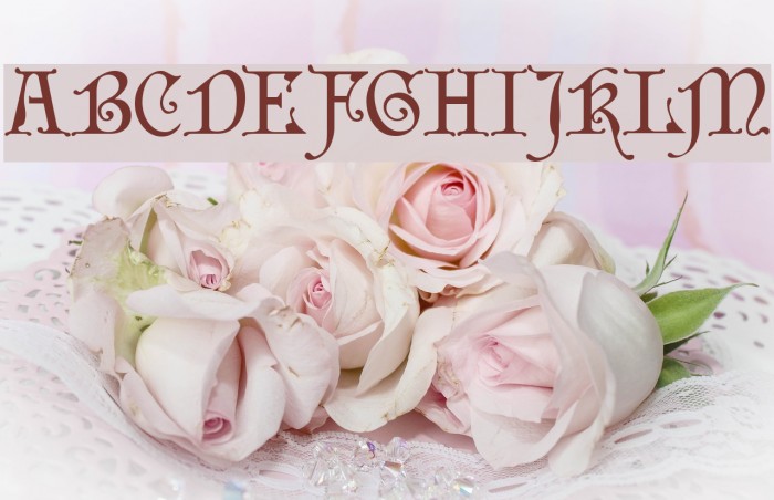 WishMF Schriftart examples