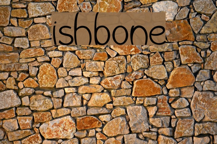 Wishbone Font examples