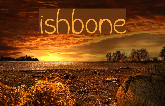 Wishbone Font examples