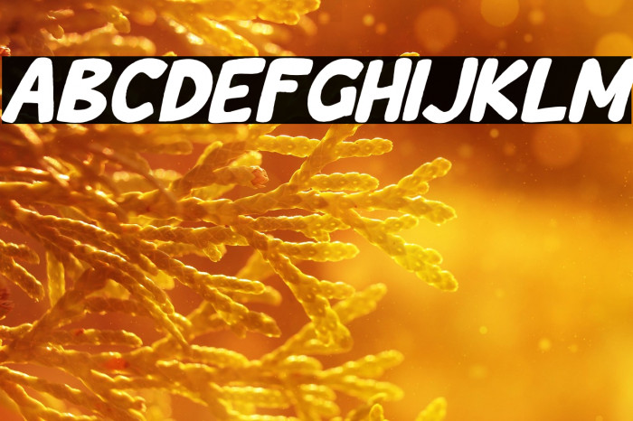 Wishcar Moundy Italic Example 1