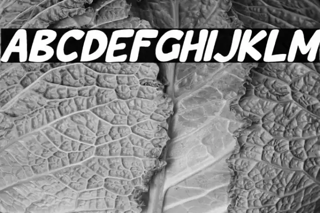 Wishcar Moundy Italic Font examples