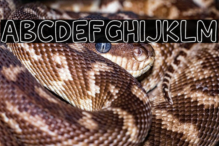 Wishcar Moundy Outline Example 1