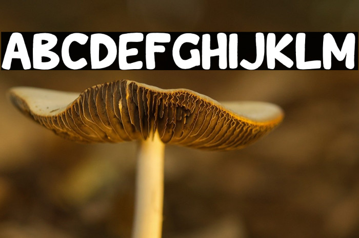 Wishcar Moundy Example 1