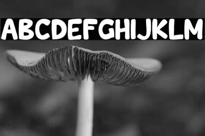 Wishcar Moundy Font examples