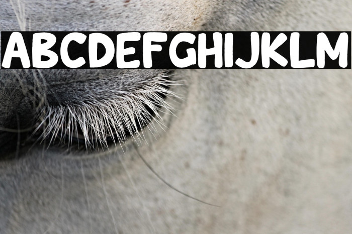 Wishcar Moundy Example 2