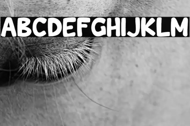 Wishcar Moundy Font examples