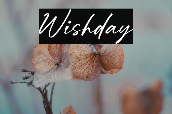 Wishday Schriftart examples