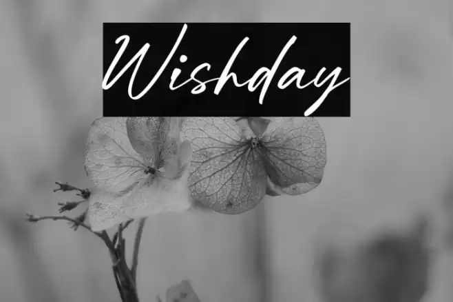 Wishday خط examples