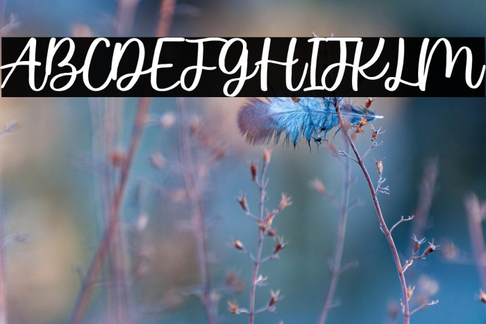 Wished Lovely Script Example 2