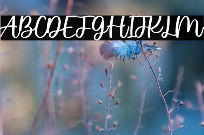 Wished Lovely Script Example 2