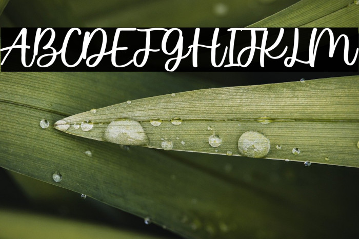 Wished Lovely Script Example 3