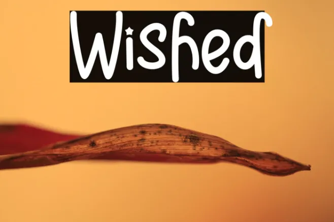 Wished Example 3