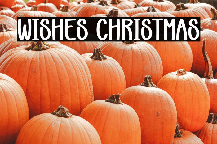 Wishes Christmas Fonte examples