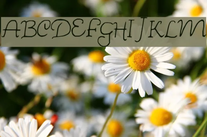 Wishes Example 2