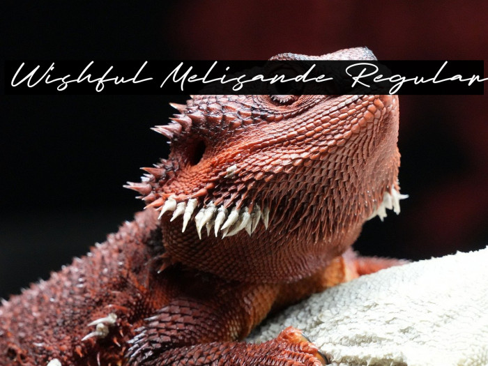 Wishful Melisande Regular Font examples