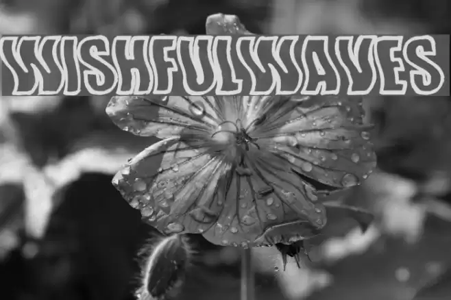 WishfulWaves Font examples