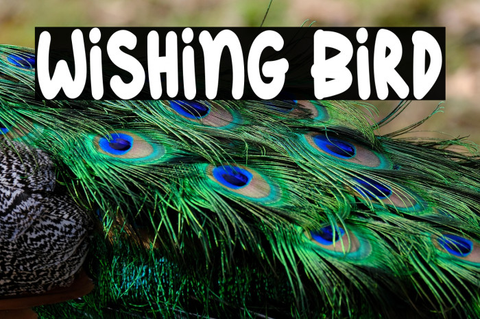 Wishing Bird Example 1